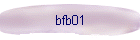 bfb01