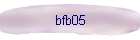 bfb05