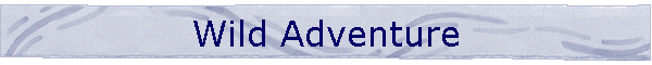 Wild Adventure